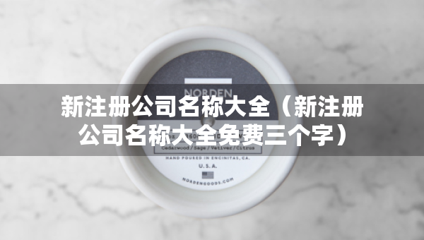 新注冊公司名稱大全（新注冊公司名稱大全免費三個字）