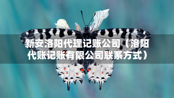 新安洛陽代理記賬公司（洛陽代賬記賬有限公司聯(lián)系方式）