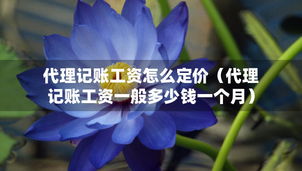 代理記賬工資怎么定價（代理記賬工資一般多少錢一個月）