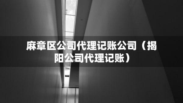 麻章區(qū)公司代理記賬公司（揭陽公司代理記賬）