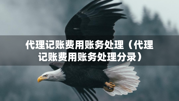 代理記賬費用賬務處理（代理記賬費用賬務處理分錄）