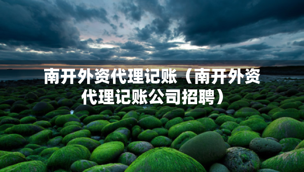 南開外資代理記賬（南開外資代理記賬公司招聘）