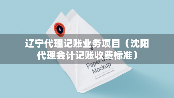 遼寧代理記賬業(yè)務(wù)項目（沈陽代理會計記賬收費標(biāo)準）