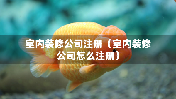 室內(nèi)裝修公司注冊(cè)（室內(nèi)裝修公司怎么注冊(cè)）