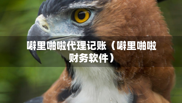 噼里啪啦代理記賬（噼里啪啦財務軟件）