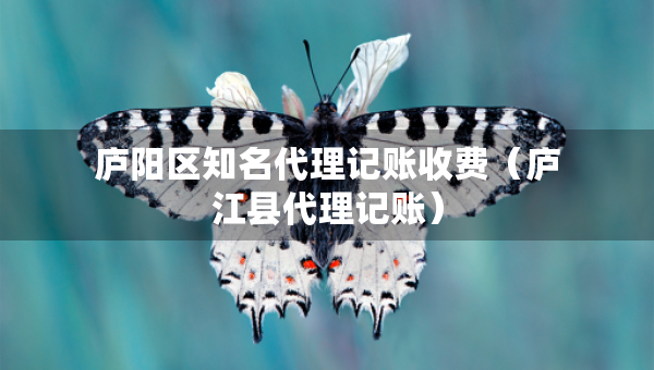 廬陽(yáng)區(qū)知名代理記賬收費(fèi)（廬江縣代理記賬）