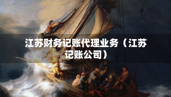 江蘇財務(wù)記賬代理業(yè)務(wù)（江蘇記賬公司）