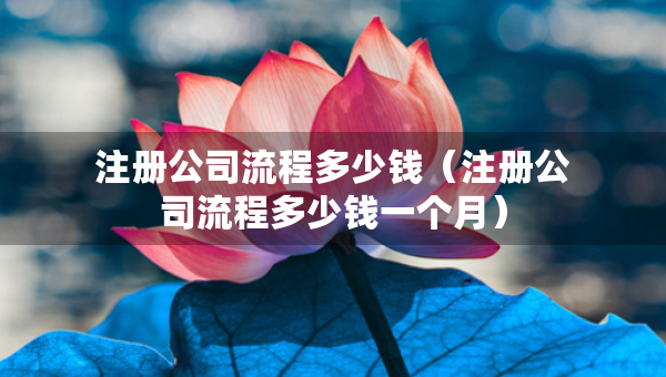 注冊公司流程多少錢（注冊公司流程多少錢一個月）