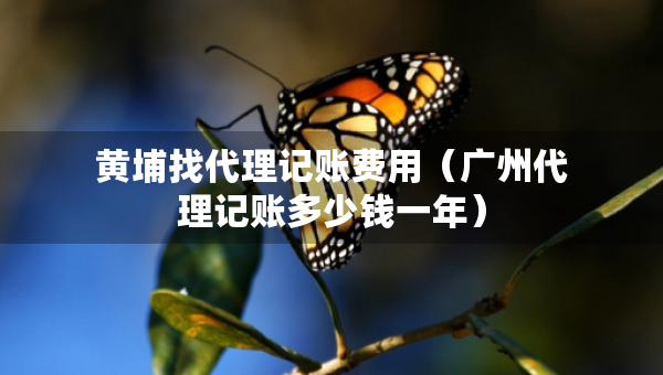 黃埔找代理記賬費(fèi)用（廣州代理記賬多少錢一年）