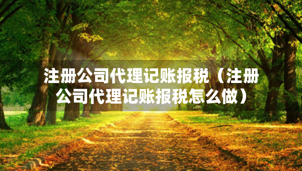 注冊公司代理記賬報稅（注冊公司代理記賬報稅怎么做）