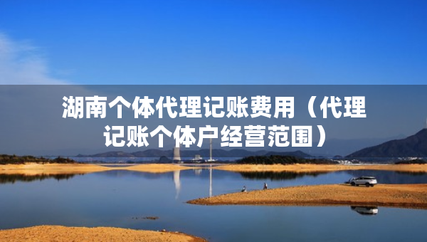 湖南個體代理記賬費用（代理記賬個體戶經(jīng)營范圍）