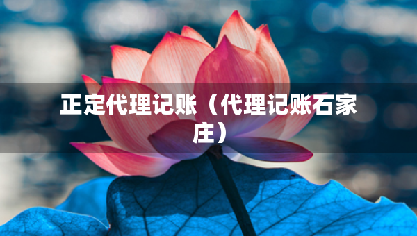 正定代理記賬（代理記賬石家莊）