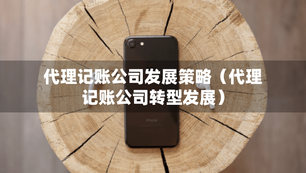 代理記賬公司發(fā)展策略（代理記賬公司轉(zhuǎn)型發(fā)展）