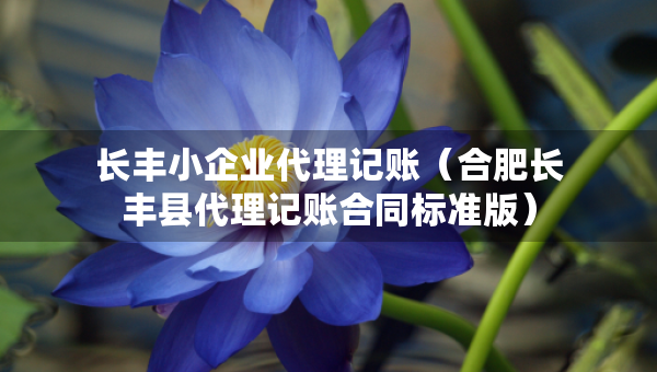 長豐小企業(yè)代理記賬（合肥長豐縣代理記賬合同標準版）