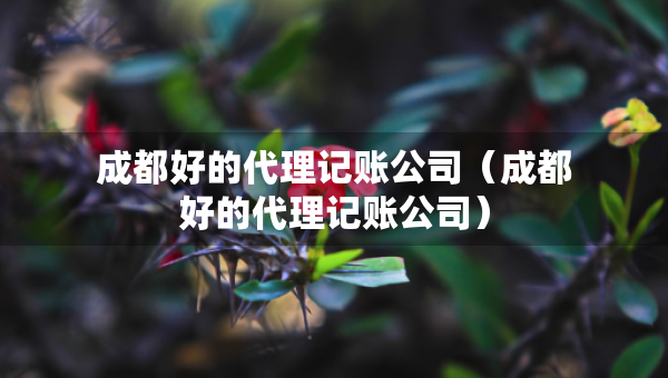 成都好的代理記賬公司（成都好的代理記賬公司）