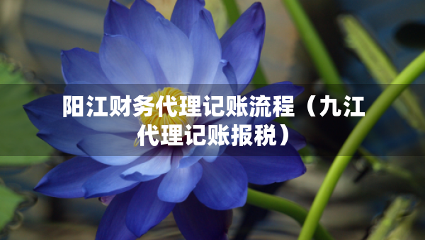 陽(yáng)江財(cái)務(wù)代理記賬流程（九江代理記賬報(bào)稅）