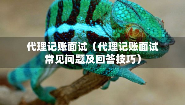 代理記賬面試（代理記賬面試常見問題及回答技巧）