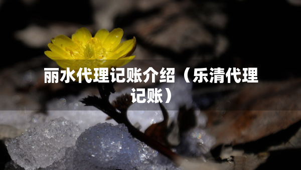麗水代理記賬介紹（樂(lè)清代理記賬）