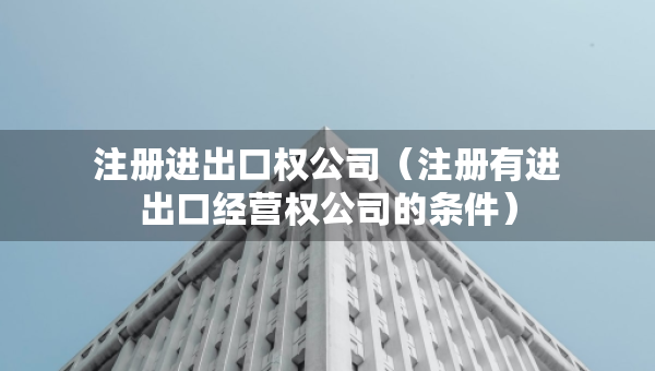 注冊(cè)進(jìn)出口權(quán)公司（注冊(cè)有進(jìn)出口經(jīng)營(yíng)權(quán)公司的條件）