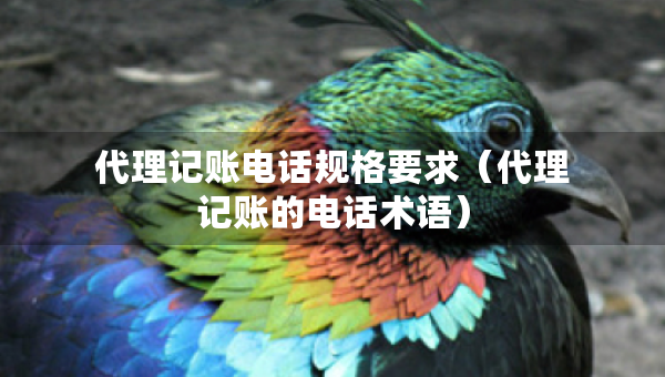 代理記賬電話規(guī)格要求（代理記賬的電話術(shù)語）