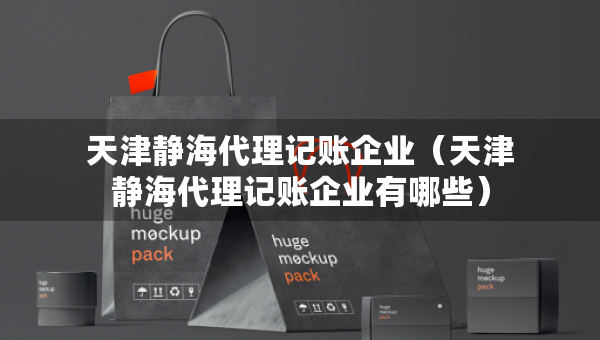 天津靜海代理記賬企業(yè)（天津靜海代理記賬企業(yè)有哪些）