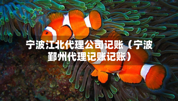 寧波江北代理公司記賬（寧波鄞州代理記賬記賬）