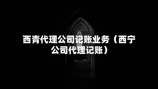 西青代理公司記賬業(yè)務(wù)（西寧公司代理記賬）