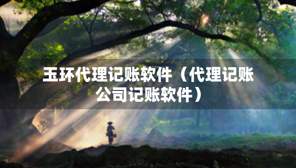 玉環(huán)代理記賬軟件（代理記賬公司記賬軟件）