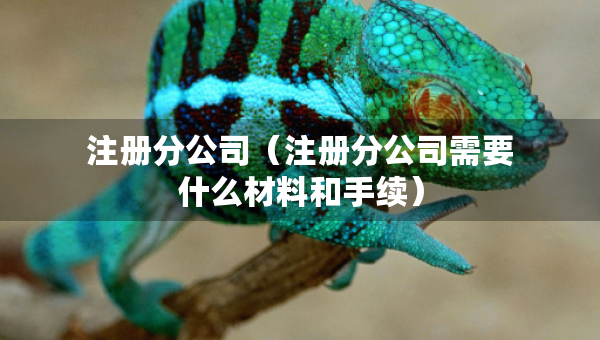 注冊分公司（注冊分公司需要什么材料和手續(xù)）