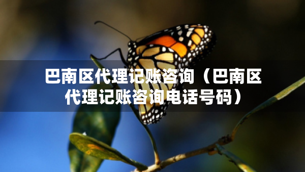 巴南區(qū)代理記賬咨詢（巴南區(qū)代理記賬咨詢電話號(hào)碼）