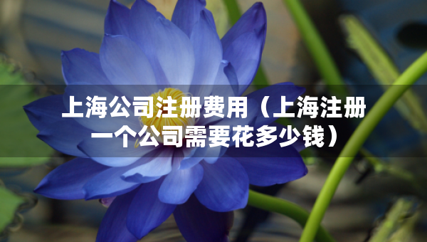 上海公司注冊(cè)費(fèi)用（上海注冊(cè)一個(gè)公司需要花多少錢(qián)）