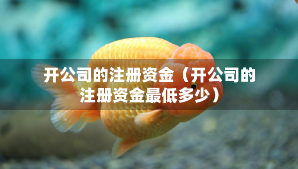 開公司的注冊資金（開公司的注冊資金最低多少）