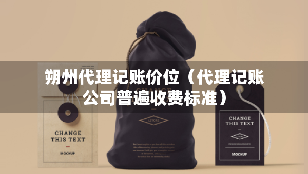 朔州代理記賬價位（代理記賬公司普遍收費標準）