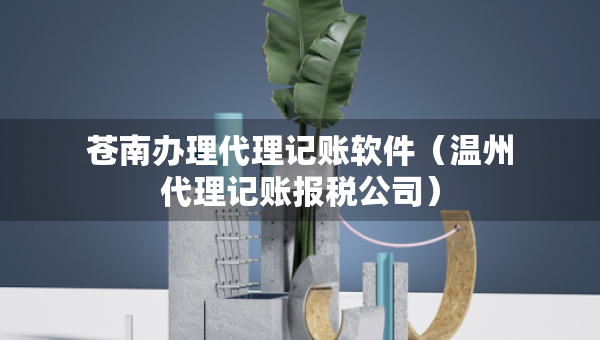 蒼南辦理代理記賬軟件（溫州代理記賬報(bào)稅公司）