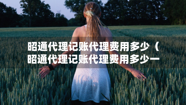 昭通代理記賬代理費(fèi)用多少（昭通代理記賬代理費(fèi)用多少一個(gè)月）