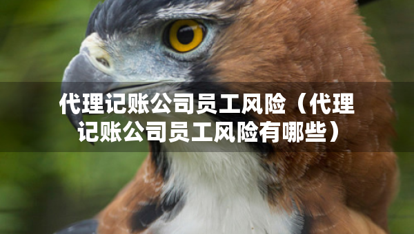 代理記賬公司員工風(fēng)險(xiǎn)（代理記賬公司員工風(fēng)險(xiǎn)有哪些）