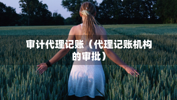 審計(jì)代理記賬（代理記賬機(jī)構(gòu)的審批）