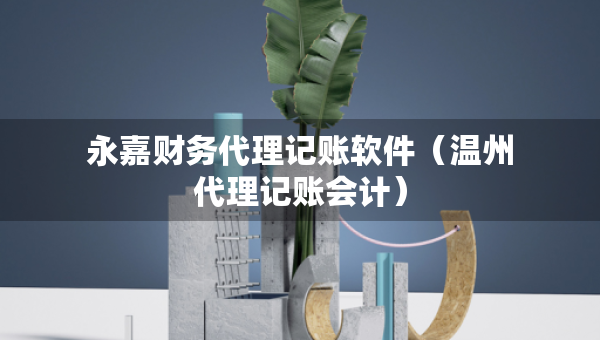 永嘉財務代理記賬軟件（溫州代理記賬會計）