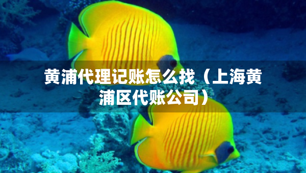 黃浦代理記賬怎么找（上海黃浦區(qū)代賬公司）