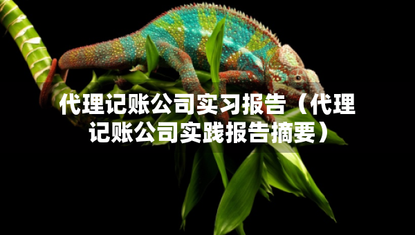 代理記賬公司實(shí)習(xí)報(bào)告（代理記賬公司實(shí)踐報(bào)告摘要）