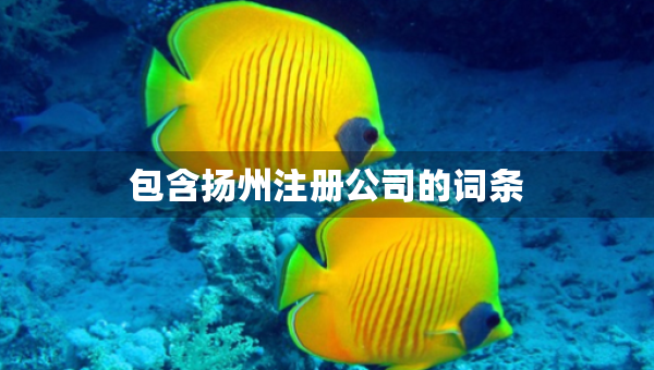 包含揚(yáng)州注冊公司的詞條