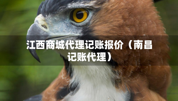 江西商城代理記賬報(bào)價(jià)（南昌記賬代理）