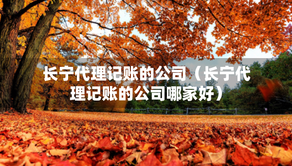 長(zhǎng)寧代理記賬的公司（長(zhǎng)寧代理記賬的公司哪家好）