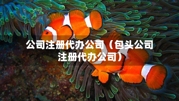 公司注冊代辦公司（包頭公司注冊代辦公司）