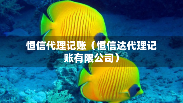 恒信代理記賬（恒信達(dá)代理記賬有限公司）