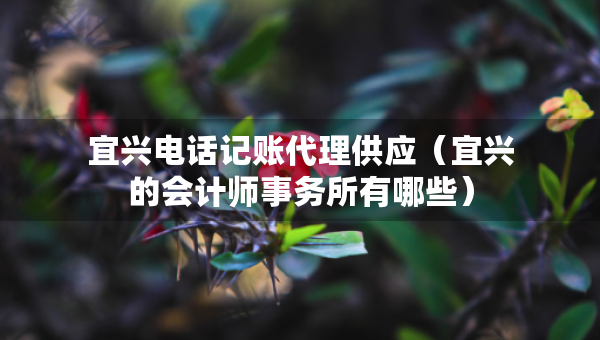 宜興電話記賬代理供應(yīng)（宜興的會計師事務(wù)所有哪些）