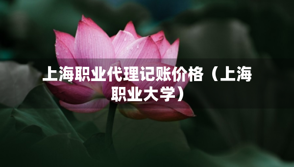 上海職業(yè)代理記賬價(jià)格（上海職業(yè)大學(xué)）