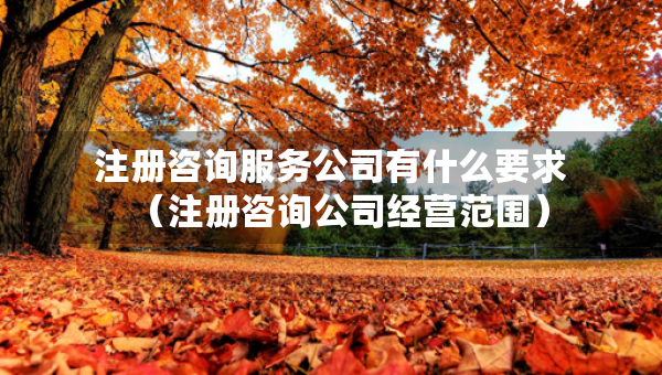 注冊咨詢服務(wù)公司有什么要求（注冊咨詢公司經(jīng)營范圍）