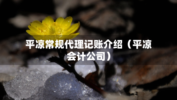 平?jīng)龀Ｒ?guī)代理記賬介紹（平?jīng)鰰嫻荆? title=