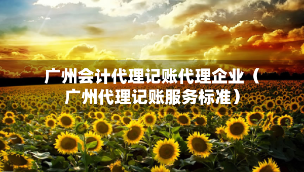 廣州會計代理記賬代理企業(yè)（廣州代理記賬服務(wù)標(biāo)準(zhǔn)）